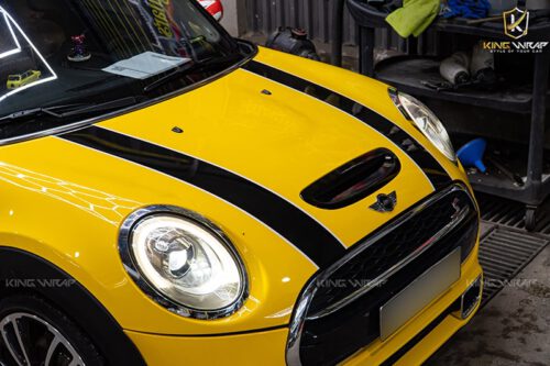 Tem capo mini cooper