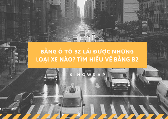 Bằng ô tô B2 lái được những loại xe nào? Tìm hiểu về bằng B2 29 Bang o to B2 lai duoc nhung loai xe nao Tim hieu ve bang B2