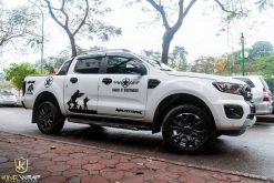 Tem dán xe ô tô thể thao: Các mẫu tem đẹp, cá tính và xu hướng mới