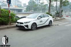 Decal Tem Sườn WRC