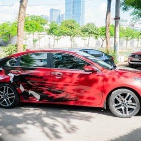 dan tem suon cerato mau do 3 1