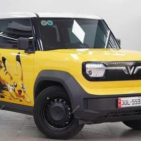 dan tem vinfast VF3 5