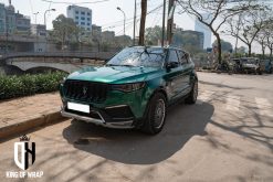 Decal Đổi Màu Green Zoyte Z8