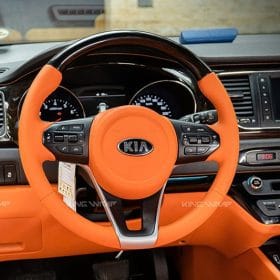 do limousine kia sedona 6