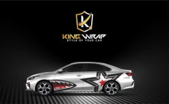 Những mẫu tem xe ô tô sedan đẹp độc phong cách