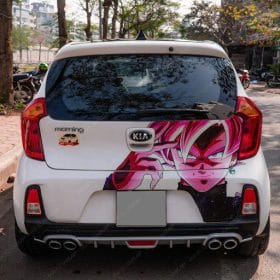 hinh anh dan decal duoi xe o to 1