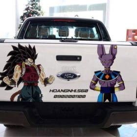 hinh anh dan decal duoi xe o to 9
