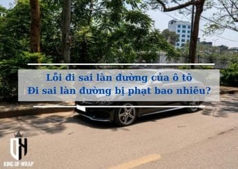 loi di sai lan duong se bi phat bao nhieu