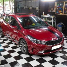 tem suon capo cerato do 1