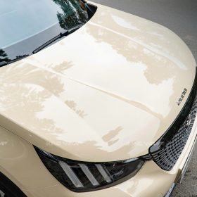 dan doi mau tra sua Peugeot 2008 04