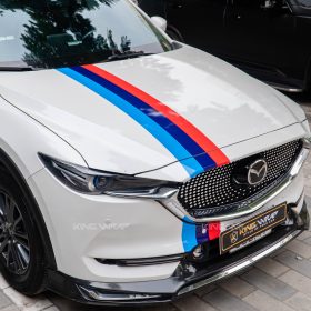 dan tem mazda cx8 2 of 4