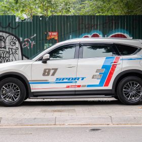 dan tem mazda cx8 4 of 4