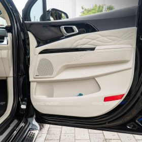 do limousine kia carnival 10 of 26