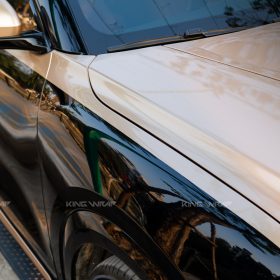 vf9 dan phong cach maybach 10 of 17