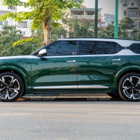 vf9 dan phong cach maybach 4 of 17