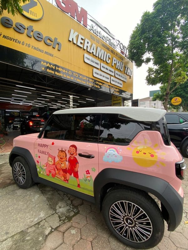Địa Chỉ Dán Decal Xe Ô Tô Uy Tín Tại Phú Thọ - Nâng Tầm Phong Cách Cho Xế Yêu