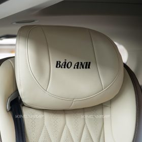 Độ Limousine, dán PPF TeckWrap KIA Carnival 2025 