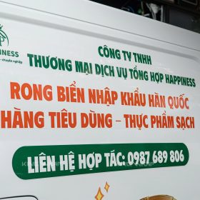 Xe VinFast EC Van Dán Tem Quảng Cáo Doanh Nghiệp - Phim Cách Nhiệt - Lót Thảm Sàn 360 8 Xe VinFast EC Van Dan Tem Quang Cao Doanh Nghiep Phim Cach Nhiet Lot Tham San 360 3