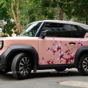 Khám phá địa chỉ dán decal ô tô uy tín tại Đắk Lắk