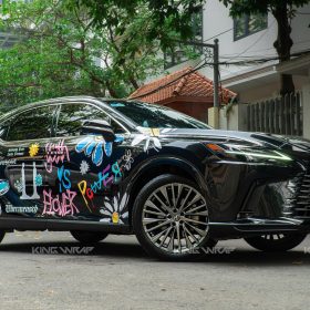 Dan tem xe Lexus RX350 1