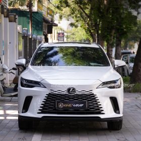 Lexus RX350H Dan PPF GSWF Tai KingWrap 6