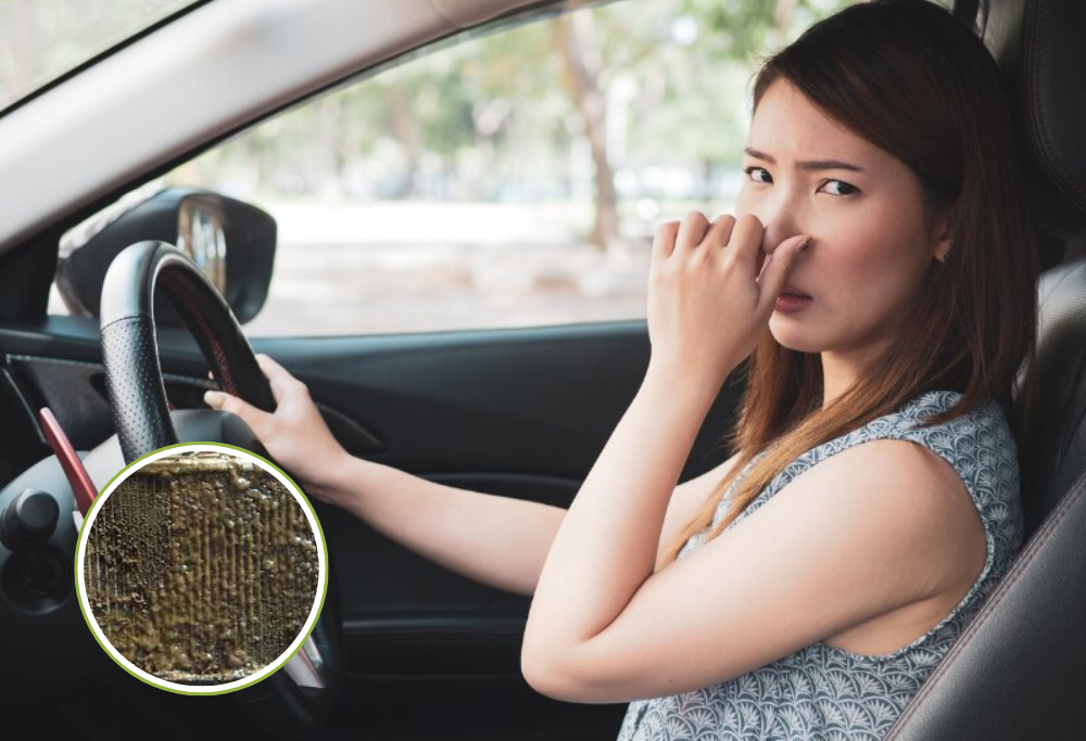 Vì sao điều hòa ô tô cần được vệ sinh? 